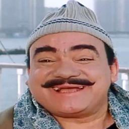 محمد رضا