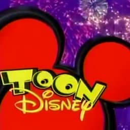 Jason Marsden (Toon Disney 2004-2007 Announcer)