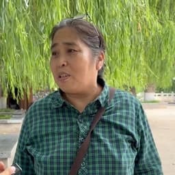 柳树背景被采访老太太