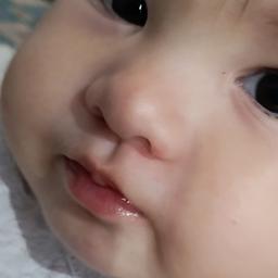 Dominick
