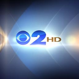 Brian Lee (WCBS-TV announcer) CBS New York