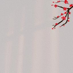 王校长