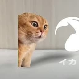 イカク - 猫ミーム