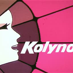 Locutor de Oferecimentos da Globo (1974-1981)