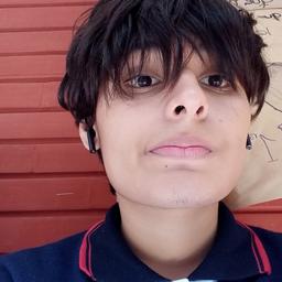 leo insano 