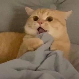 足球解说
