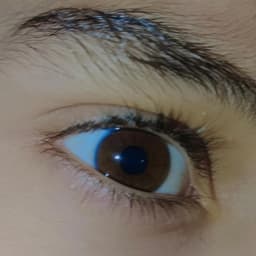 بدر تركستاني