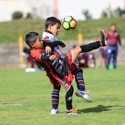 SEMILLEROS 2