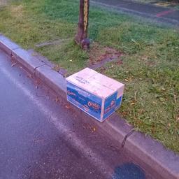 Reportera