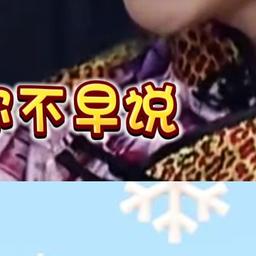 韦雪