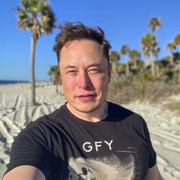 Elon musk 3 