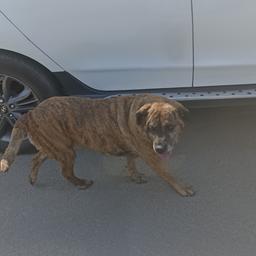 كريستيانو رونالدو في 