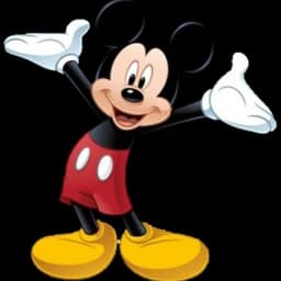 Mickey mouse