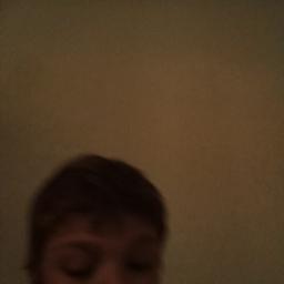 I cartoni dello zecchino d'oro