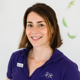 planche à dessin V-2