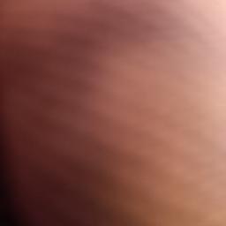 Nss