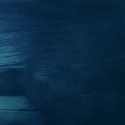 6.25.车里的妈妈