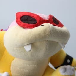 Roy Koopa (SuperMarioRichie)