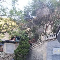 马国成