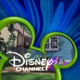 Disney Channel Male Announcer (2003-2005)