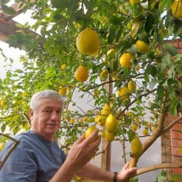 пинковський