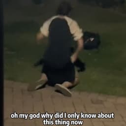 進哥视频的音色