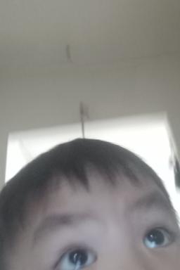 Maroi 