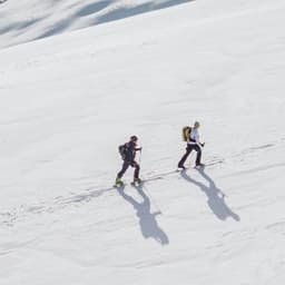 they will voice denzel