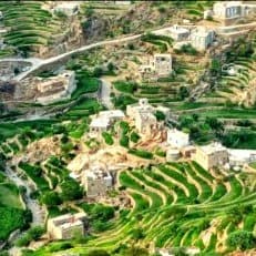 مذيع اخبار اقتصاديه 