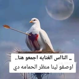 القرد