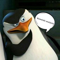 Skipper 1