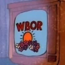 TV Announcer (Gregg Berger)