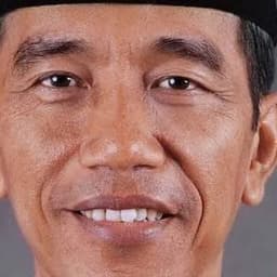 jokowi dodol