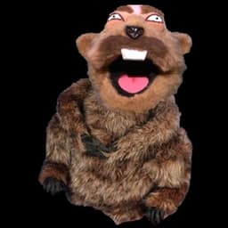 Phil McGraw (Punxsutawney Dr. Phil)