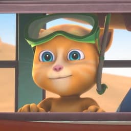 Ginger (TTAF LATIN AMERICAN)