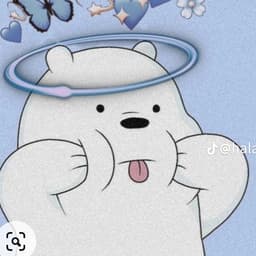 الدب القطبي 