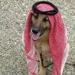 رائد