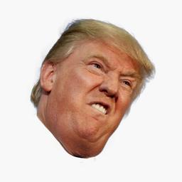 Fake-Trump