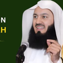 mufti menk