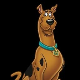 Scooby doo