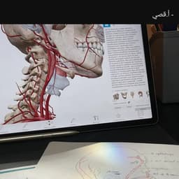 حفيظ دراجي بتمني انساك