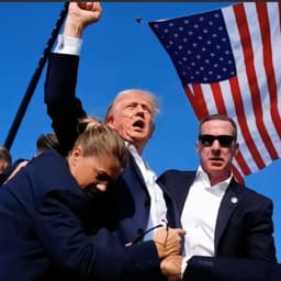 拜登（普通版）