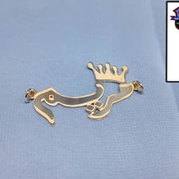 مرتضي منصور