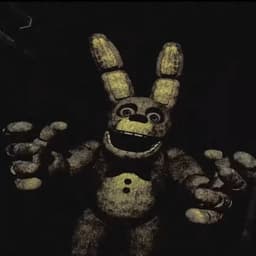 Springbonnie 