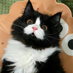 我把公司送给你