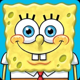sponge