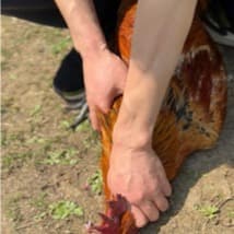 0313-物理实验国恒