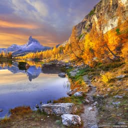 低音炮磁性声音1