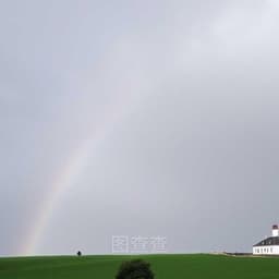 茶文化12.10-12.12.1