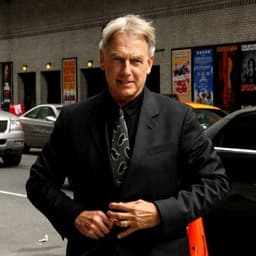 Mark harmon 